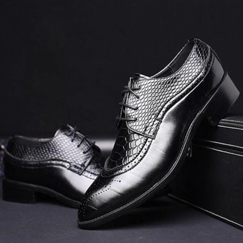 Miesten Juhlakengät Alligator Luxury -nauhalliset Brogue-mekkokengät - Musta