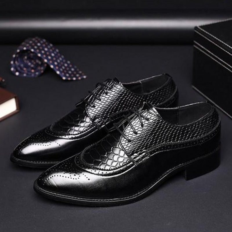 Miesten Juhlakengät Alligator Luxury -nauhalliset Brogue-mekkokengät - Musta