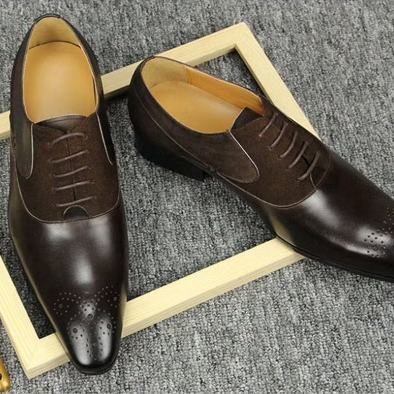 Miesten Juhlakengät Deluxe Nuptial Oxford Modishopulence Brogue -kengät - Kahvi