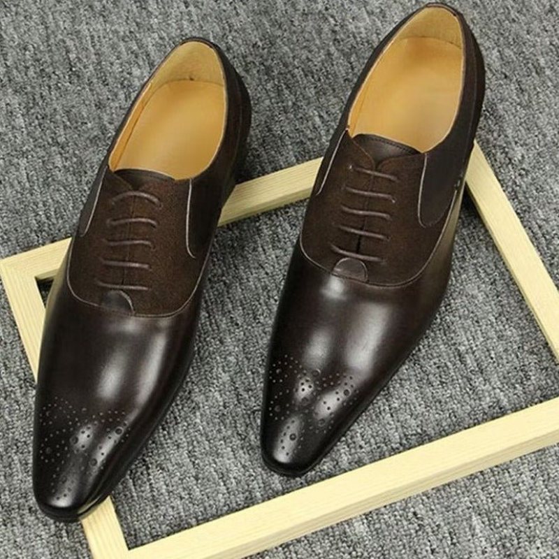 Miesten Juhlakengät Deluxe Nuptial Oxford Modishopulence Brogue -kengät - Kahvi